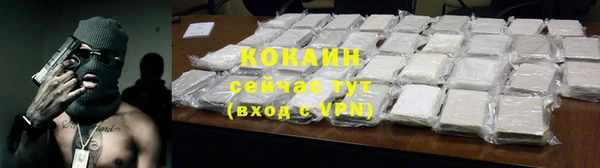 мдпв Богданович