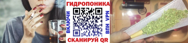 купить наркотик  Бородино  Бошки Шишки гибрид 